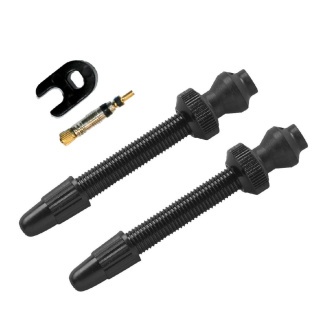 BARBIERI 2x Tubeless-Ventil Alu 45mm SV schwarz