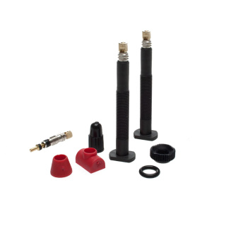 BARBIERI 2x Tubeless-Ventil Carbonaria 45mm SV Carbon schwarz
