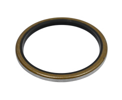 DT SWISS Dichtung für Freilauf 30x36x2,5mm der Naben  180, 190, 240, 340, 350, 440, 540