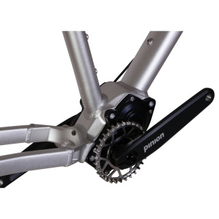 QUANTOR URKRAFT 29 Hardtail Mountainbike Rahmen-Getriebe-Set + Pinion & Gates