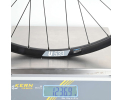 Hinterrad DT Swiss 350 Singlespeed Nabe & Hybrid U...