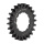 GATES Carbon Drive CDX:EXP Rohloff CenterTrack Riemenscheibe Expedition Hinterrad Steckritzel 22 Zähne