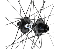 Hinterrad DT Swiss 350 Singlespeed Nabe & DT Swiss Hybrid U 623 28" 29" Felge - Pinion Singlespeed Trekking & Tour