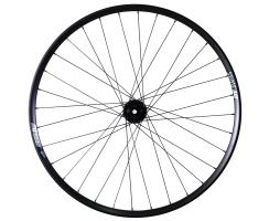 Hinterrad Pinion DT Swiss 350 Singlespeed Boost 12x148mm...