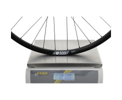 Hinterrad Pinion DT Swiss 350 Singlespeed Boost 12x148mm 6-Loch & Hybrid U 533 28" / 29" Pinion Trekking & Tour
