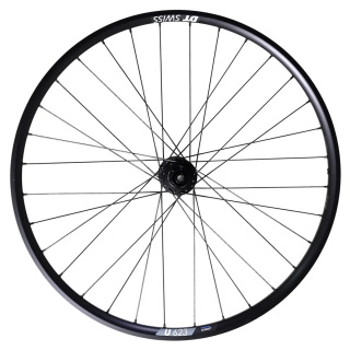 Hinterrad Pinion DT Swiss 350 Boost Singlespeed 12x148mm 6-Loch & U 623 28" 29" Pinion Trekking & Tour