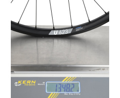 Hinterrad Pinion DT Swiss 350 Boost Singlespeed 12x148mm...